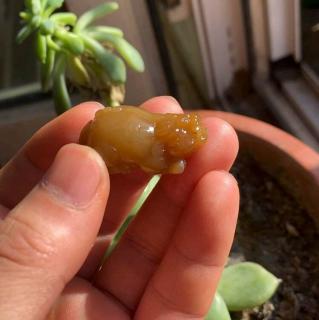 为什么有人偏爱和田玉貔貅吊坠?